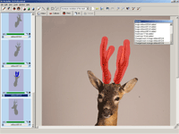 iModeller 3D Professional Edition Screenshot
